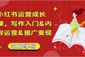 小红书运营成长课,写作入门&内容运营&接广变现【文档】