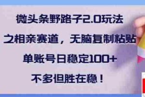 （14333期）微头条野路子2.0玩法之相亲赛道，无脑搬砖复制粘贴，单账号日稳定300+…