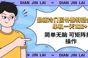 （14255期）最新国外推特撸金项目，单机一天100+简单无脑 矩阵操作收益最大【使用…