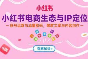 （15350期）小红书电商生态与IP定位，账号运营与流量密码，爆款文案与内容创作